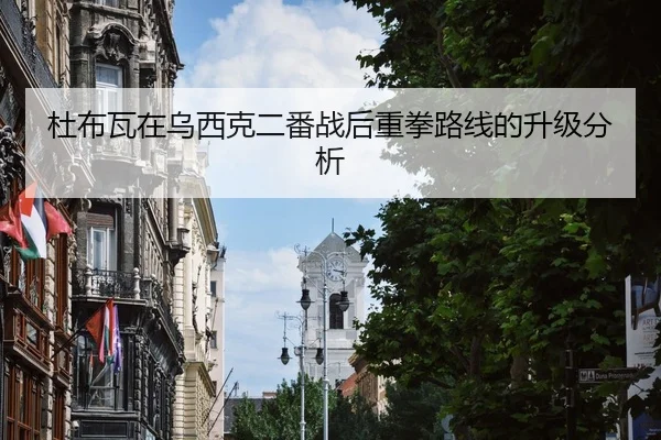杜布瓦在乌西克二番战后重拳路线的升级分析