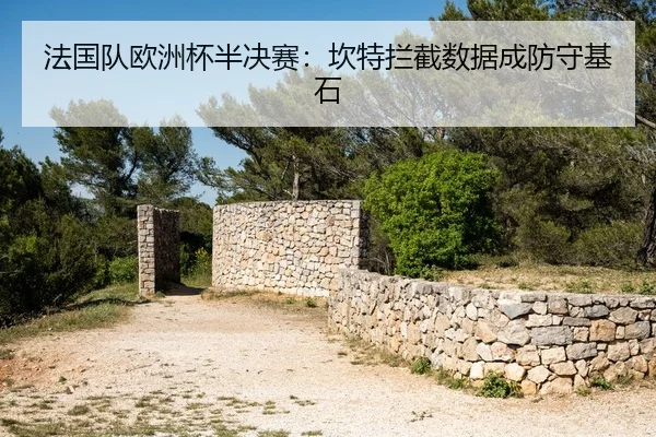 fa-guo-dui-ou-zhou-bei-ban-jue-sai-kan-te-lan-jie-shu-ju-cheng-fang-shou-ji-shi-2-788.jpg