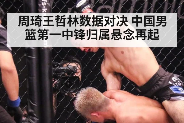 周琦王哲林数据对决 中国男篮第一中锋归属悬念再起